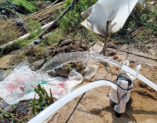 海安鱼塘边打井