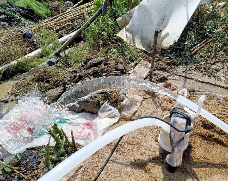 海安果园种树打井